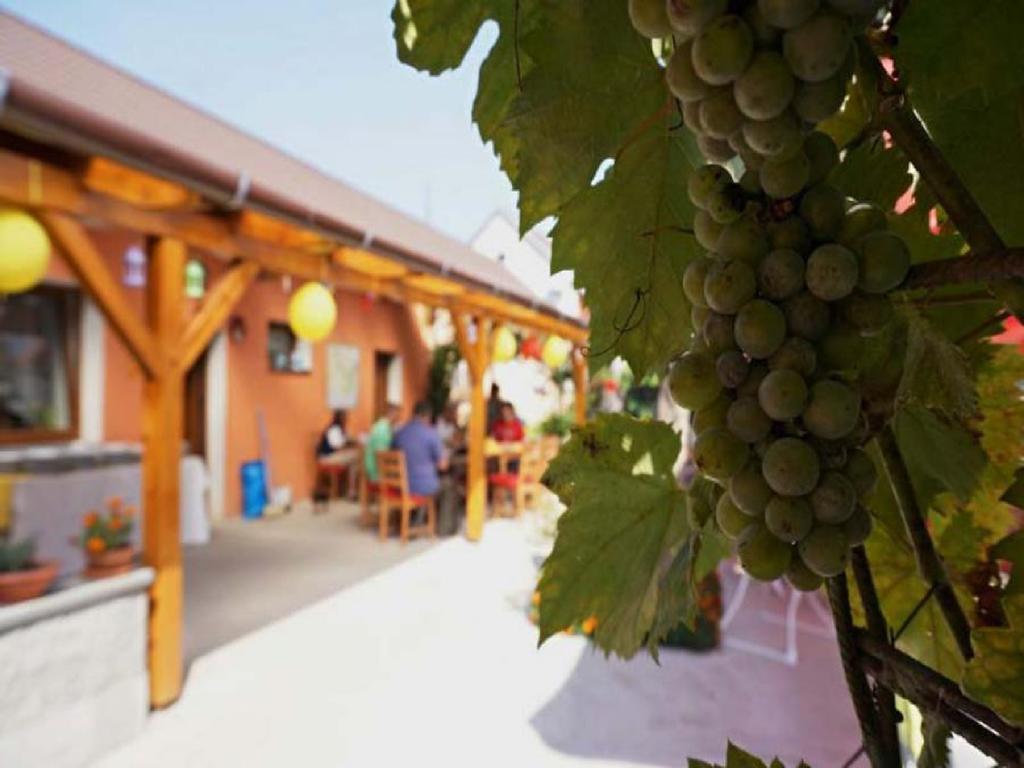 Privat Bohemia Hotel Šatov Екстериор снимка